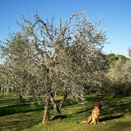 Country house Podere Il Caggio