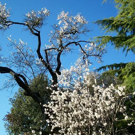 Country house Podere Il Caggio *