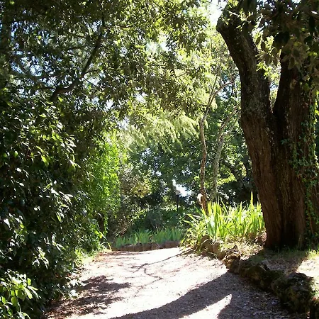 Country house Podere Il Caggio